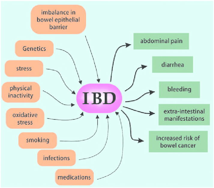 Mistakes In IBD 13 Mistakes Ulcerative Colitis And Crohn s Patients